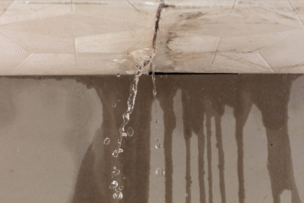 Professional Water Damage Repair technician working in Attica, IN
